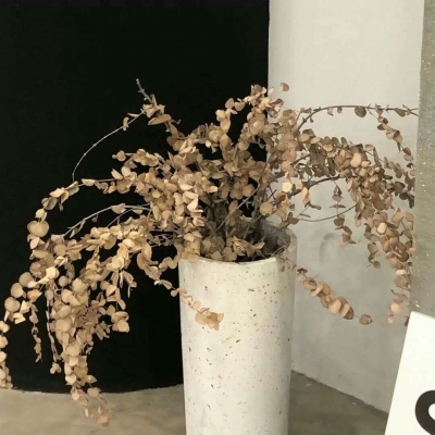 新泰FurryQQ群介绍